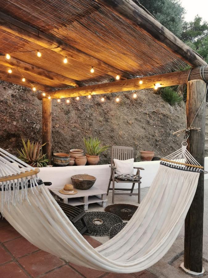 Naturaleza Y Arte En La Casa Del Molino *