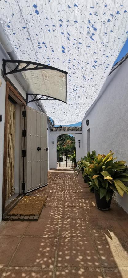 Naturaleza Y Arte En La Casa Del Molino *